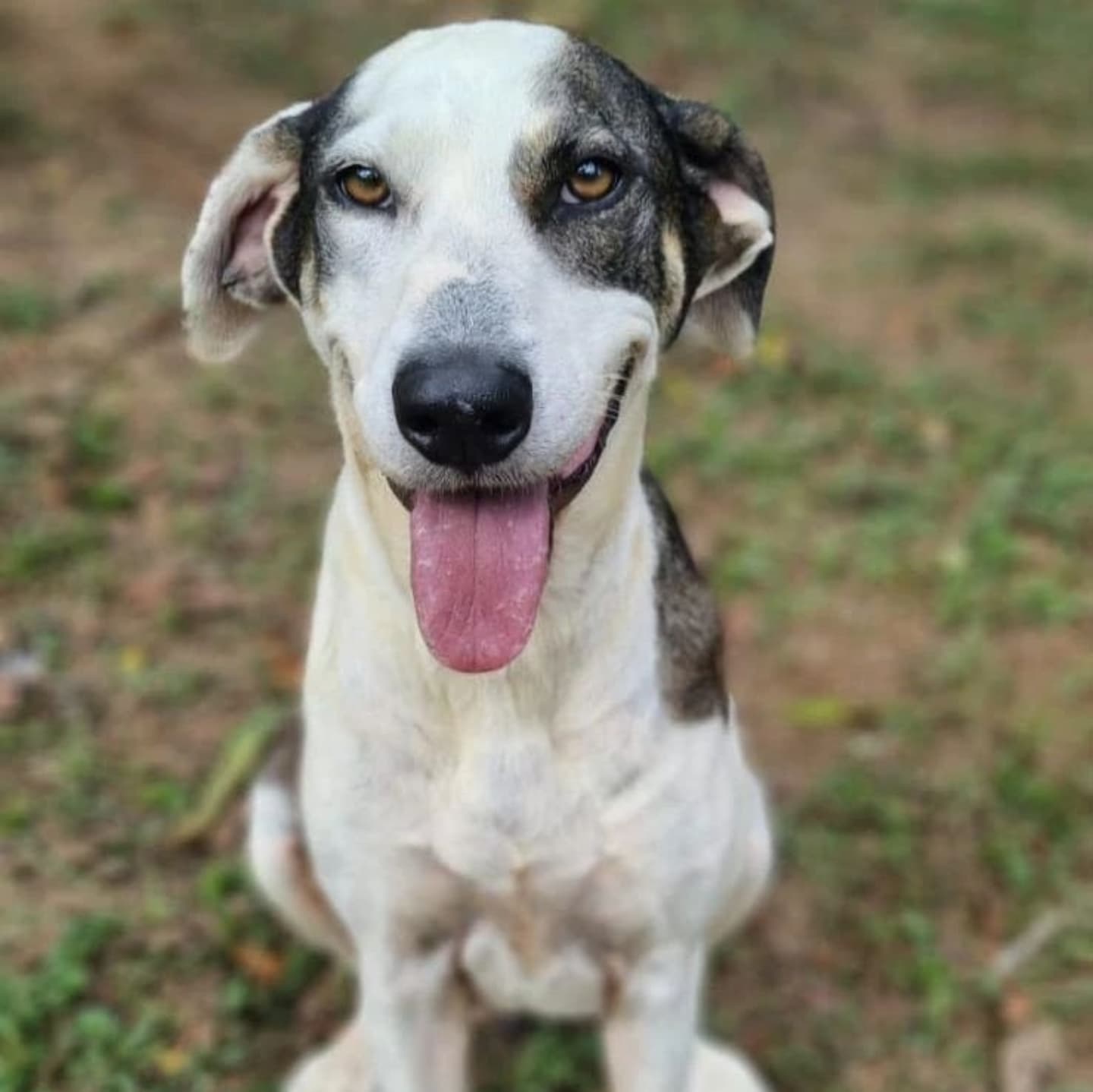 Foto da Penelope
